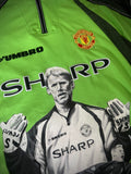 Peter Schmeichel Original Painting