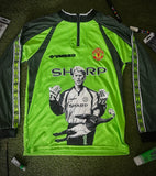 Peter Schmeichel Original Painting