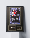 Oasis Framed Print With Colour Palette