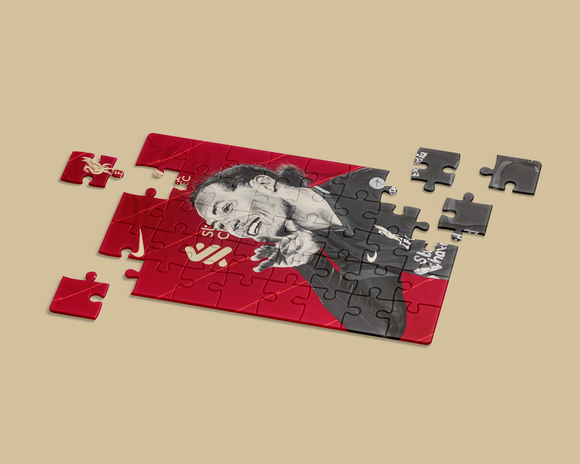Virgil van Dijk Jigsaw Puzzle